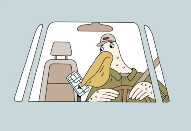 Illustration of pelican texting while driving