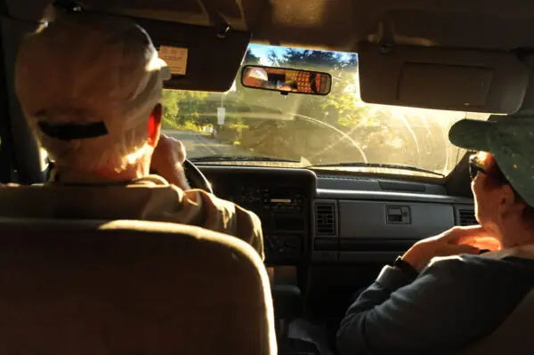 Senior couple sitting in a car driving