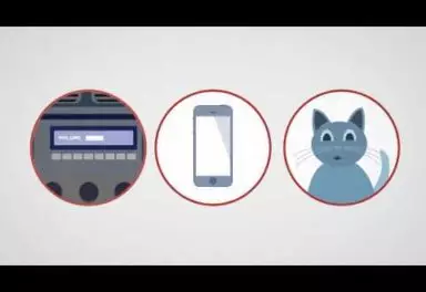 Illustration of radio, phone, and a cat