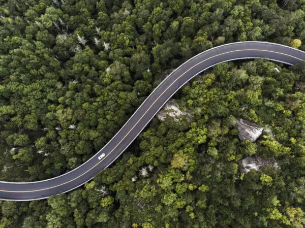 Aerial View of a road winding through a forest